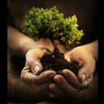crescita-decrescita-felice