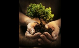 crescita-decrescita-felice