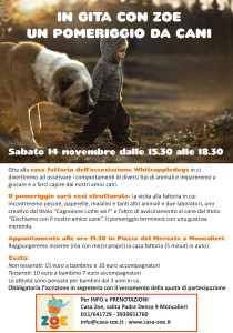 un pomeriggio da cani ok