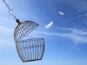 Freedom concept. Escaping from the cage