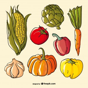6 hand draw vegetables